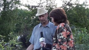 Горизонтальный сад