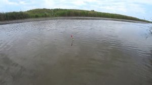 Рыбалка на Кубани с берега на поплавок ловля карася густеры и море другой рыбы