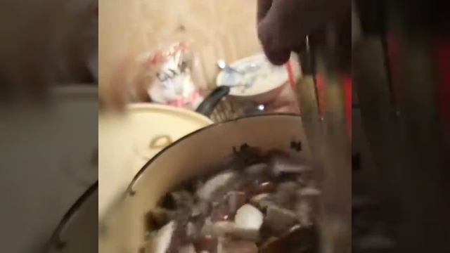 Приготовление подберёзовики подосиновики!