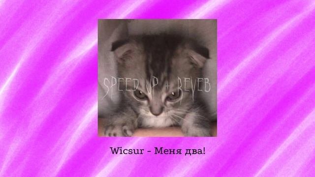 @wicsur2409 - Меня два! ( Speed Up + Reverb)