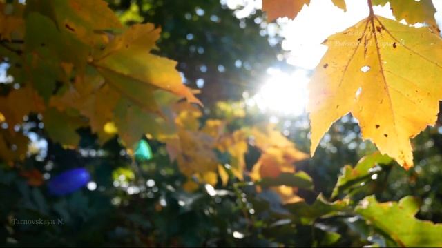 Евгения Рыбакова, Алексей Горшенёв - Ты для меня смотреть онлайн