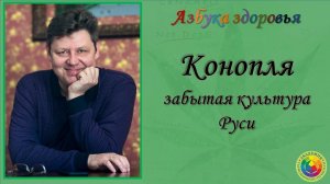 Конопля, забытая культура Руси. Азбука здоровья.