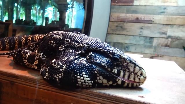 США. Куда сходить с детьми в ОРЛАНДО? Orlando Science Center МУЗЕЙ НАУКИ