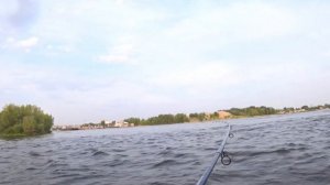 ЧТО МОЖНО ПОЙМАТЬ НА ОБЫЧНЫЙ КЕМБРИК !!!