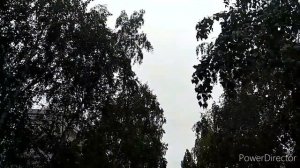 Лазурит. (От сорняков). Смотрите результат.