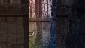 Могилы Золотарева и Кривонищенко в Екатеринбурге.  Группа Дятлова.