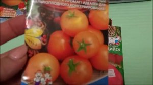 Ранние томаты для открытого грунта детерминанты