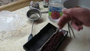 Мотыль, покупка, обработка, обеззараживание, кормление.