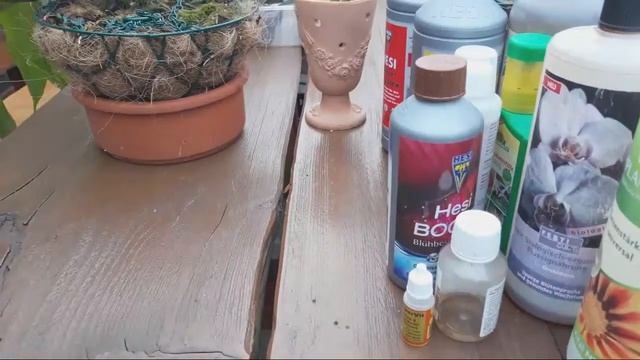 Мои лучшие удобрения для Орхидей на все случаи. ПРИМЕНЕНИЕ.