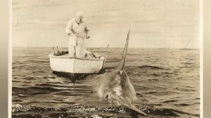 Краткое содержание Старик и море. Хемингуэй Э. Пересказ повести за 3 минуты