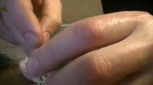 Полусфера для мха. Hemisphere for moss