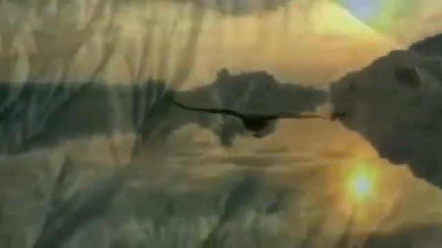 ДВА КРЫЛА , Автор: Сергей Адамчук, читает: Марина Ермолаева смотреть онлайн