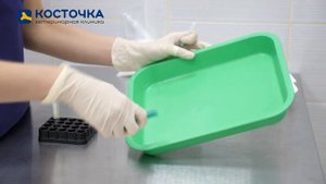 Как собрать мочу на анализ у кошки и собаки?