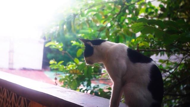 flat picture style lumix g2 test смотреть онлайн