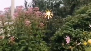 Обрядовый фольклор "Заклички"