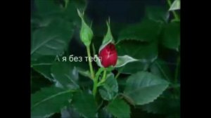 ЖЕНЯ ЮДИНА - Ты просто не видела моря