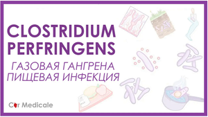 Причина газовой гангрены и пищевых отравлений - Клостридия： патогенез, симптомы, лечение