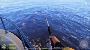 Тур на Норвежском море 2023! Russian Fishing 4