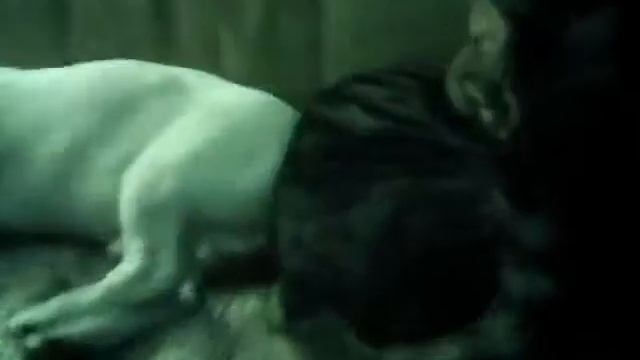 Нет у нас подушки, нету одеяла,жмёмся мы к друг дружке чтоб теплее стало! смотреть онлайн