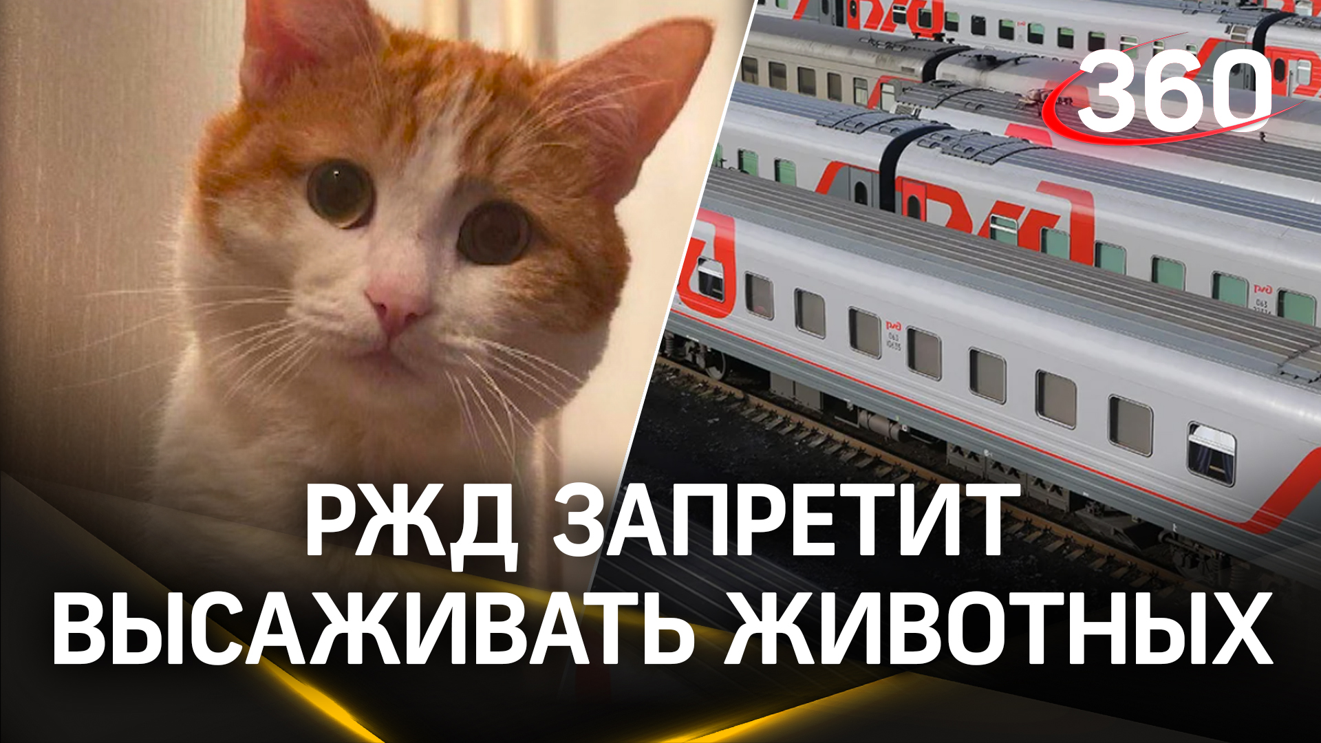 Расписание электричек спортивная кудеевка