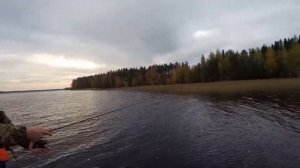 Рыбалка на озере, Ленинградская область.