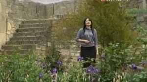 Сейранат Наджафова - Атана  (2009)