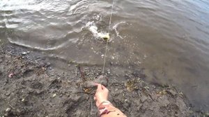 Рыбалка на резинку 2023 Ловля карася, сазана, леща и судака