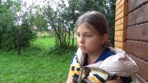 Детская йога. Отзыв детей.