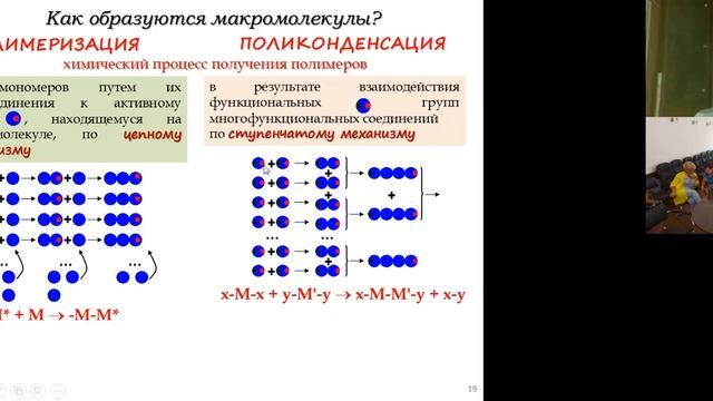 Лекция для педагогов «Гигантские молекулы в природе и вокруг нас», химфак МГУ имени М.В. Ломоносова смотреть онлайн
