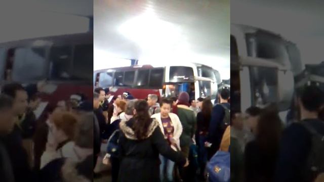 Descaso da Gardenia(1) смотреть онлайн