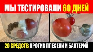 Прошло 60 дней. Тест 20 средств против плесени и бактерий. Помидоры На Зиму