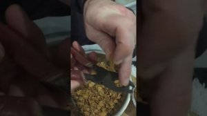Самый легкий способ вынуть из абрикосовой косточки очень полезный орешек