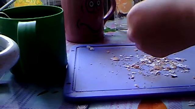 Как сделать яичную скорлупу для улиток без кофемолки смотреть онлайн