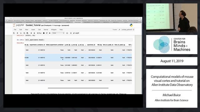 Computational models of mouse visual cortex and tutorial on Allen Institute Data Observatory