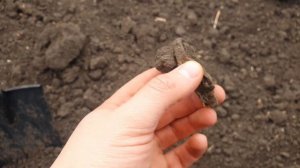 Отличный отдых с металлоискателем Gauss MD! Находки в этот день порадовали...