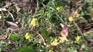 Я буду долго гнать велосипед Старт-Шоссе