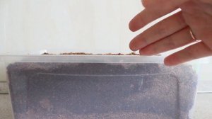 4. Идеальный субстрат! Что такое коко-грунт и как его подготовить?