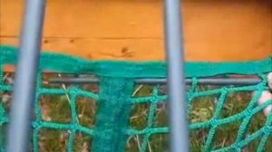 Видео инструкция по установке медленной кормушки "Оптима"