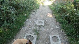 WALKS IN HAMPSHIRE ; BASINGSTOKE CANAL (DOGMERSFIELD)