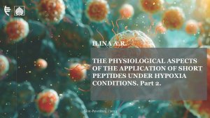 The physiological aspects of the application of short peptides under hypoxia conditions (part 2)