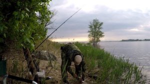 #8 Голавль Рыбалка с Берега на Реке Волге. Обловил Всех Как Клюет Рыба на Фидер - Донку