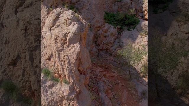 Горные козлы на скалах Нораванк смотреть онлайн