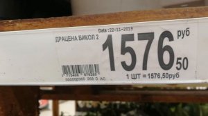 Купила и установила стеллаж. Обзор растений из магазина Ашан.