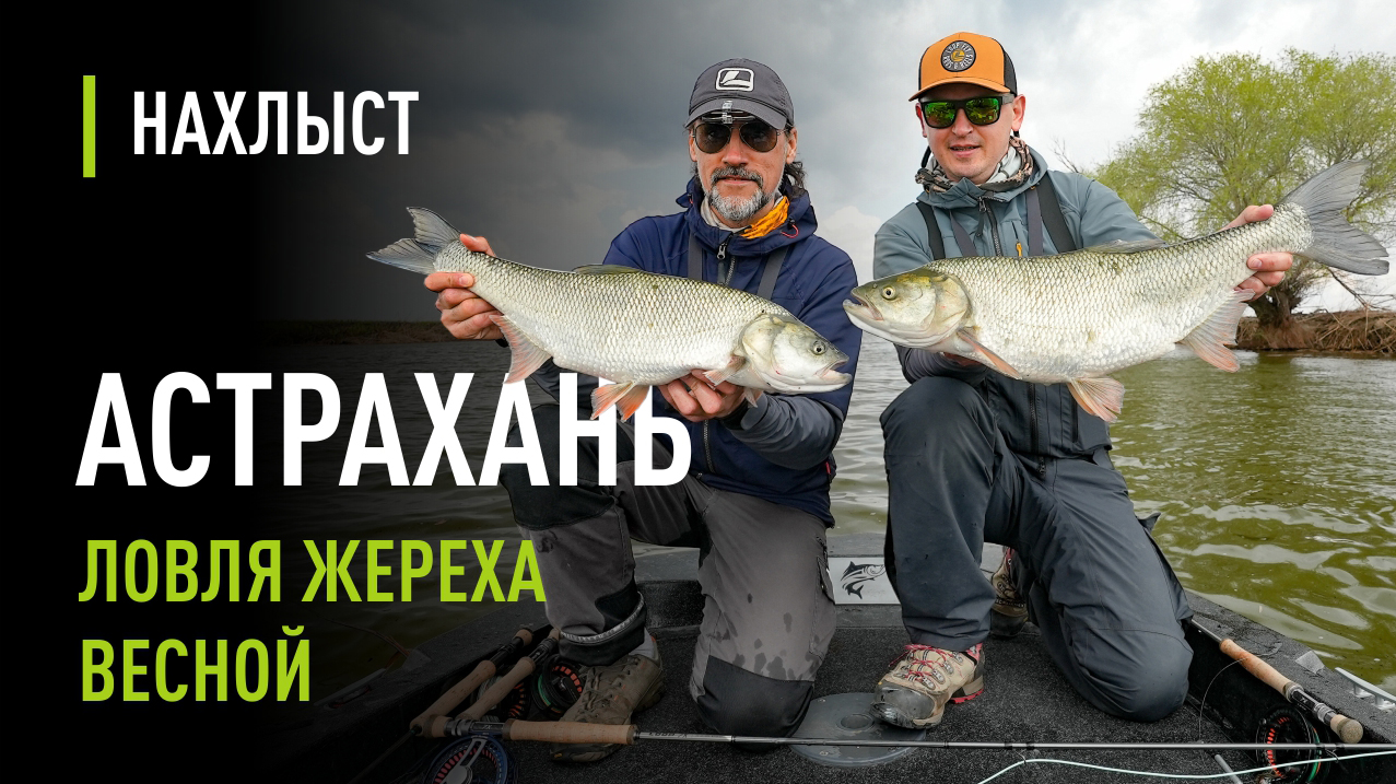 Весенний ЖЕРЕХ по малой воде. Настоящая раздача. Уловистые стримеры для ловли на глубине.