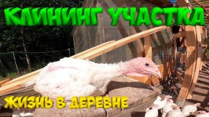 Клининг участка! Укосины не работают. [Жизнь в деревне]