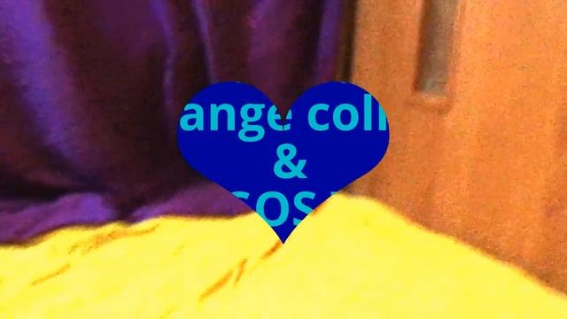 Altegos Torres и Altegos Tunis - щенки миттельшнауцера, 1,5 месяца смотреть онлайн