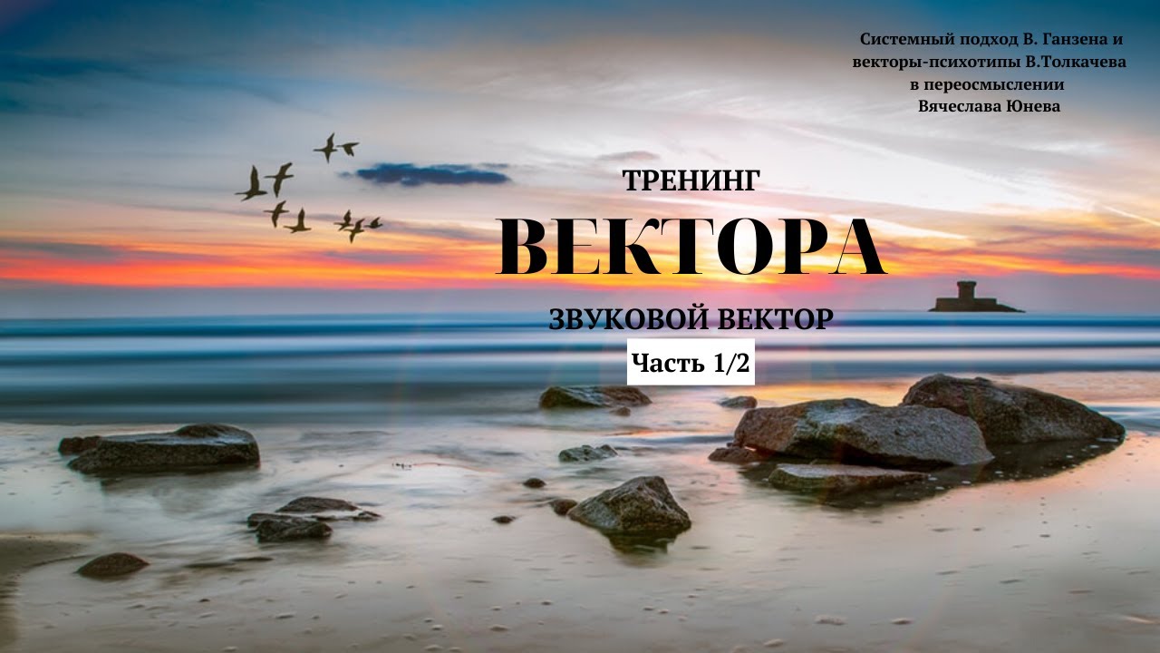 Занятие 11. Звуковой вектор. Часть 1. Тренинг  Вектора. Проект Вячеслава Юнева.mp4
