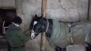 Таджикистан ш вахдат дехаи оби нукра кисмати 2 юм