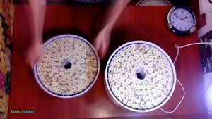 Сушка бананов – 10 кг.