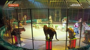 В Брянском цирке стартует грандиозное новогоднее шоу заслуженного артиста России Гии Эрадзе